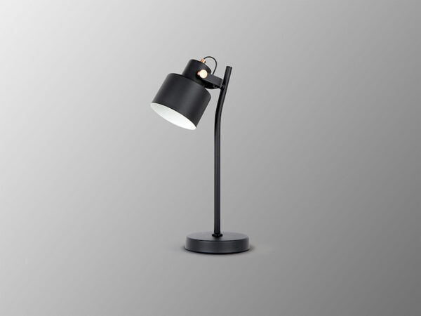 Erika Schuller Black and Copper Table Lamp