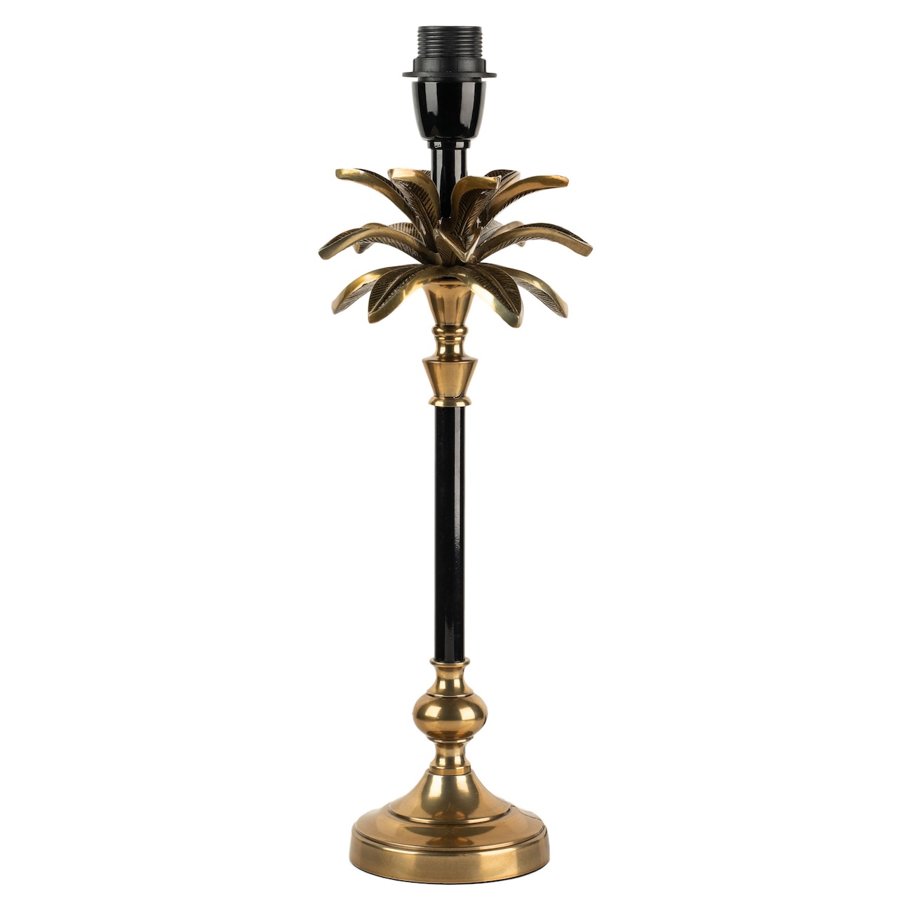 medium sized black and brass palm lamp